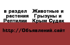  в раздел : Животные и растения » Грызуны и Рептилии . Крым,Судак